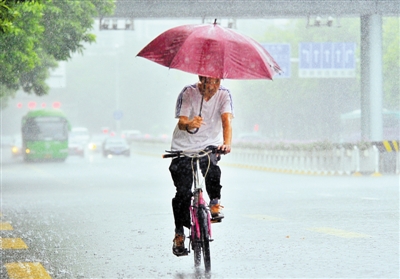 昨日上午大雨倾盆,一位市民打着伞骑车冒雨前行.